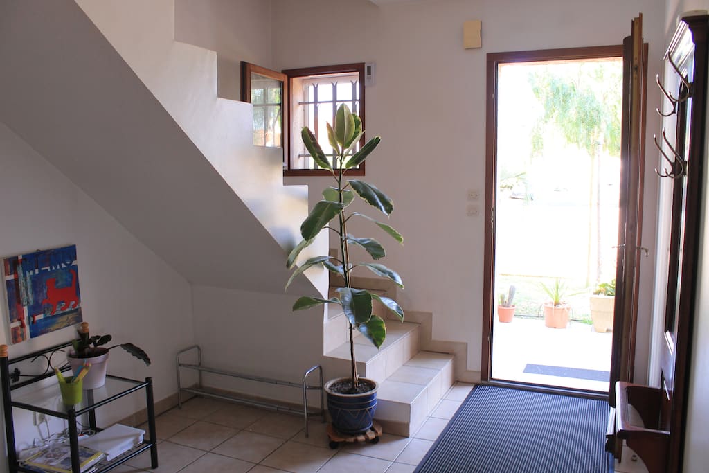 Hall (bas)