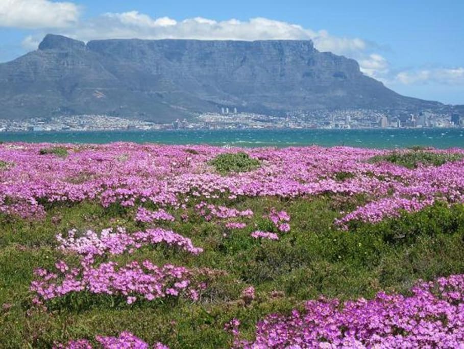 view of cape town