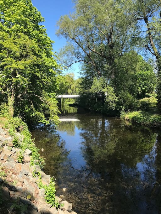 Dodder river
