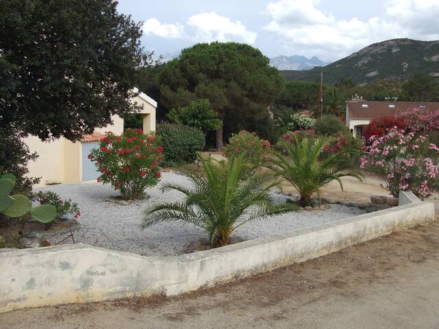 Appartement A Louer Calvi Appartement A Louer Calvi