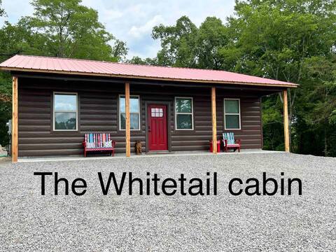 New cabin in the Ozarks near Big Piney Creek Ark D
