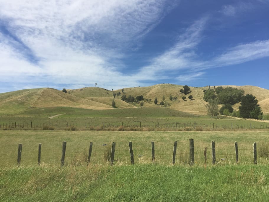 Climb the hills and spot the wild Fallow deer and views over Masterton.