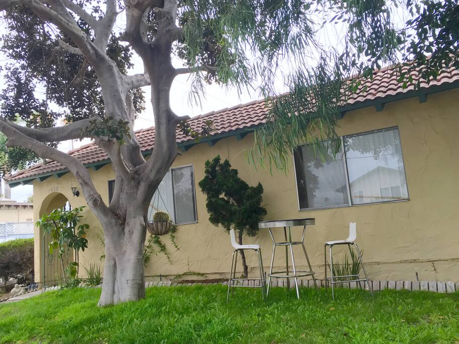 Front yard outside of guest bedroom