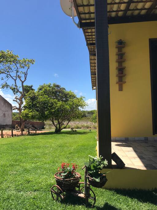 Muitas flores e muito verde