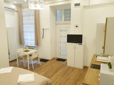 Vintage Studio Apartment with AC