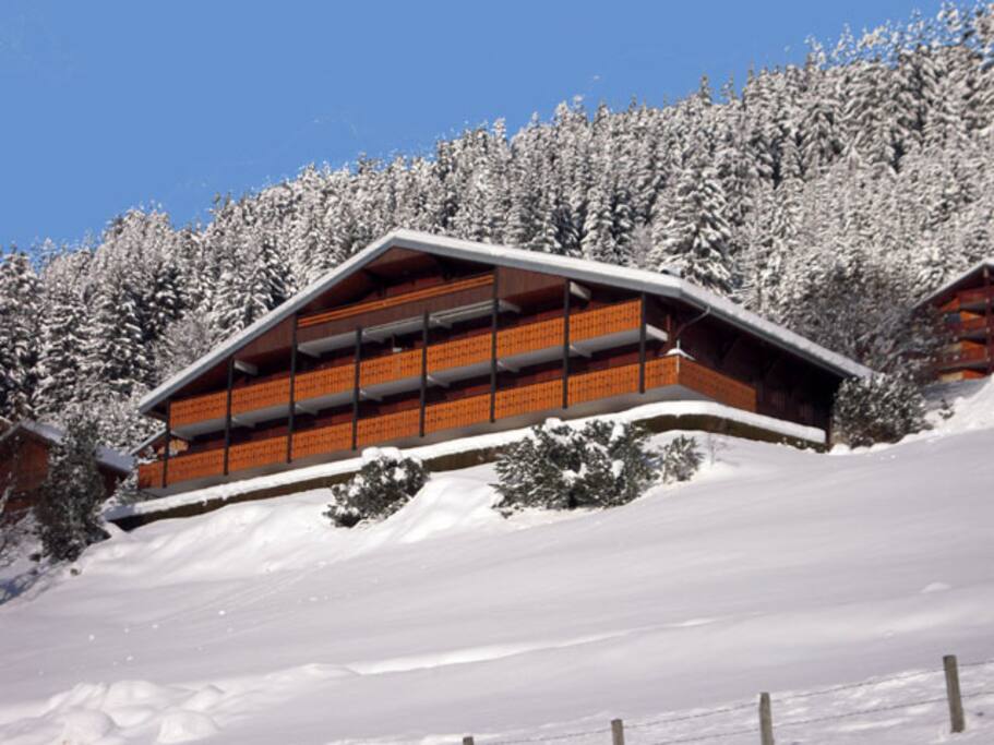 Apartment in Winter