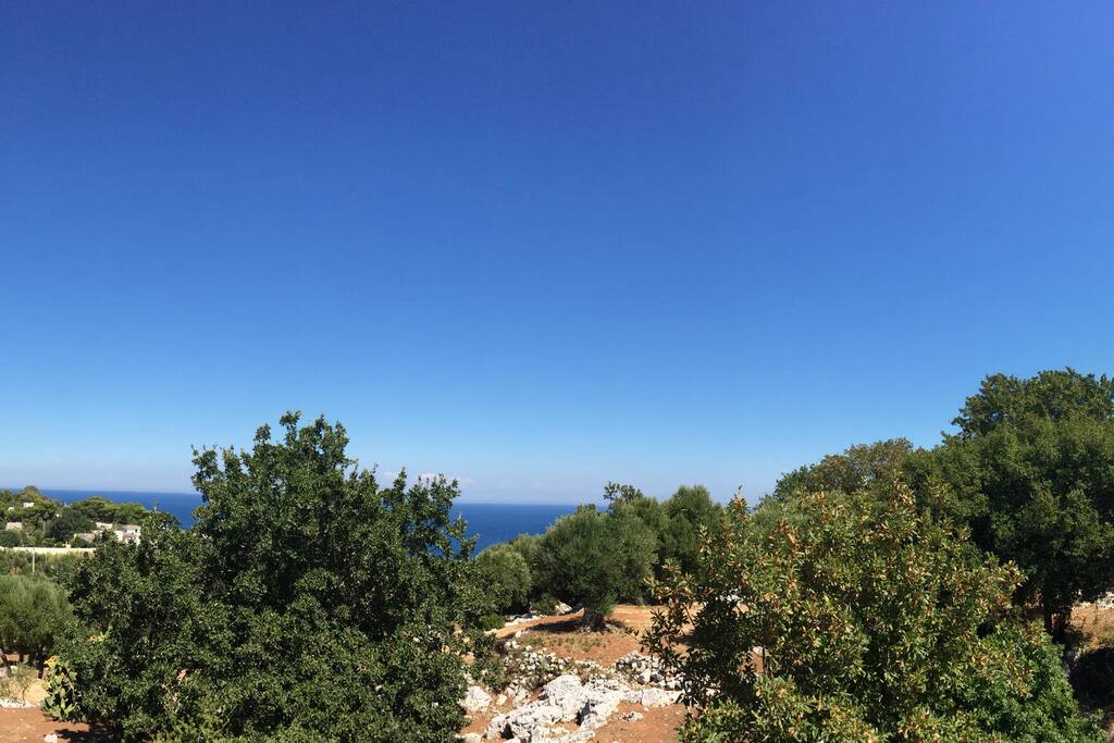 Paesaggio dalla terrazza sul mare.