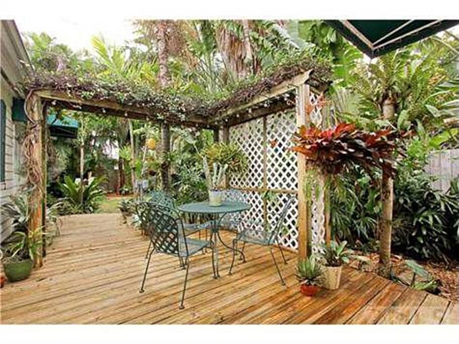 Tropical backyard