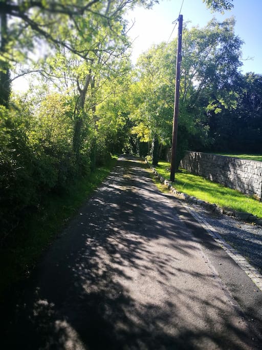 this is the lane to our home