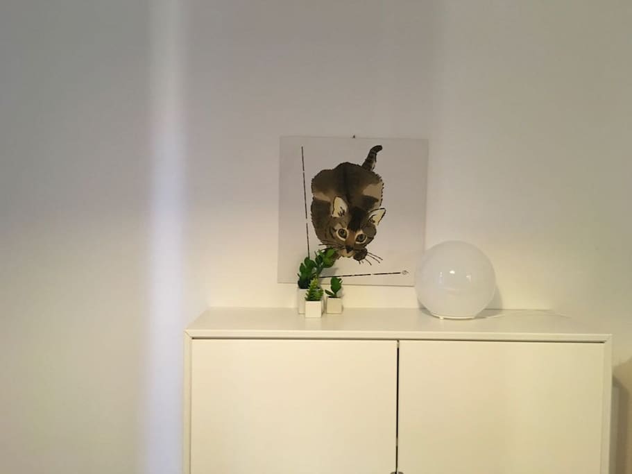 Cucina-soggiorno