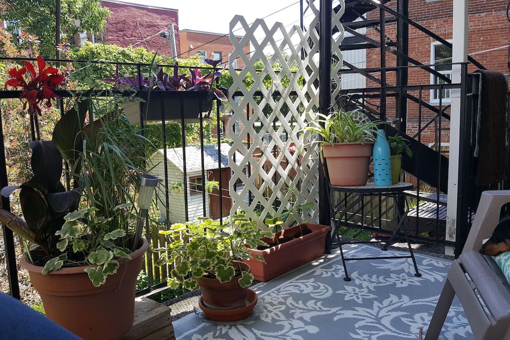 terrasse