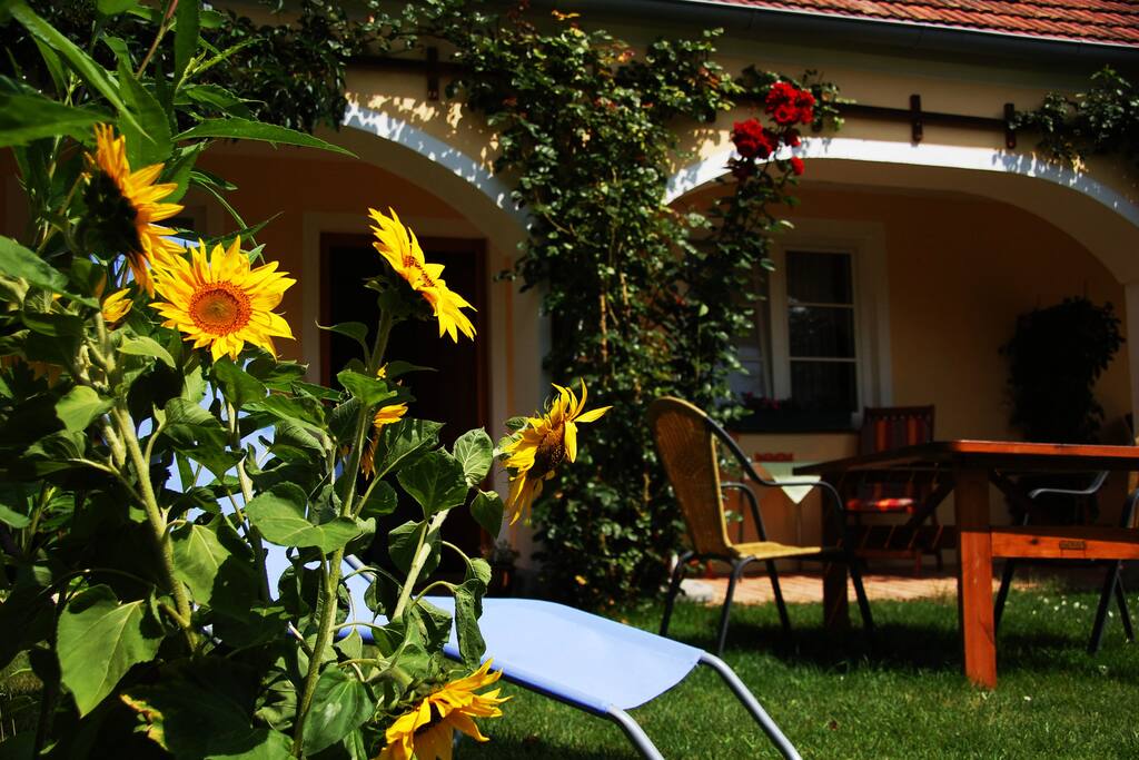 Begrünter Arkadenhof mit Terrasse