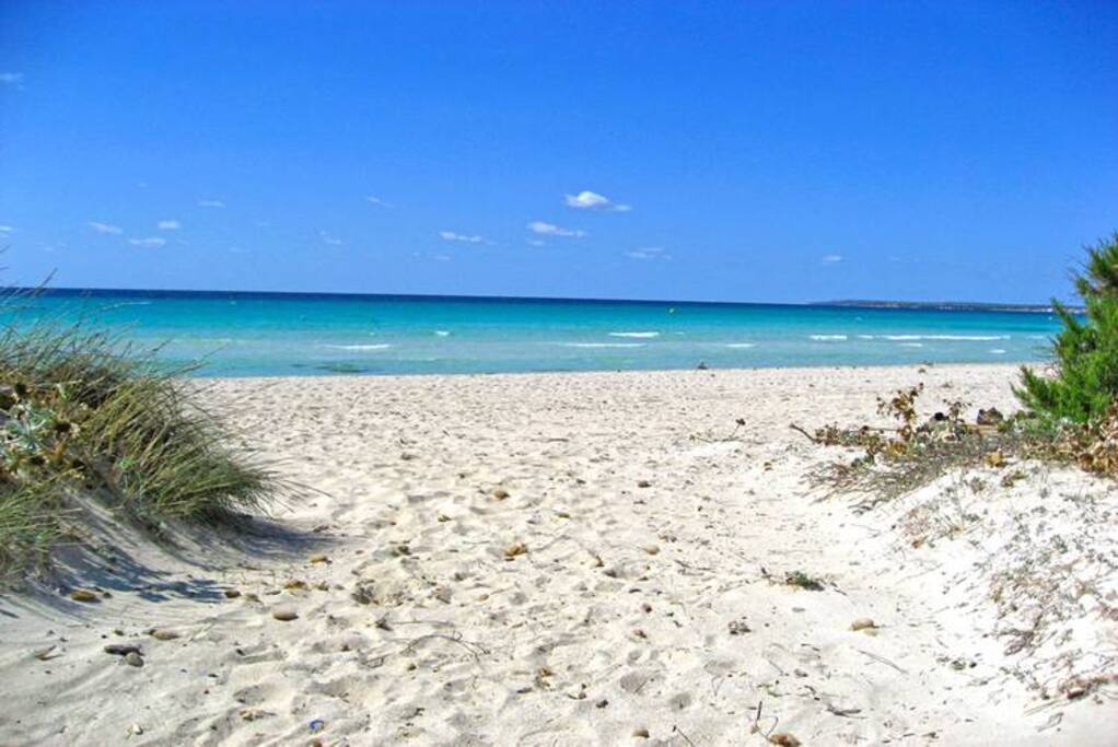 Playa Sa Rapita