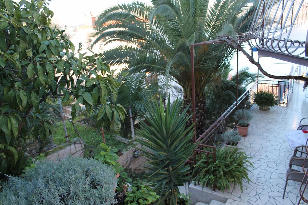 courtyard (house and surroundings)