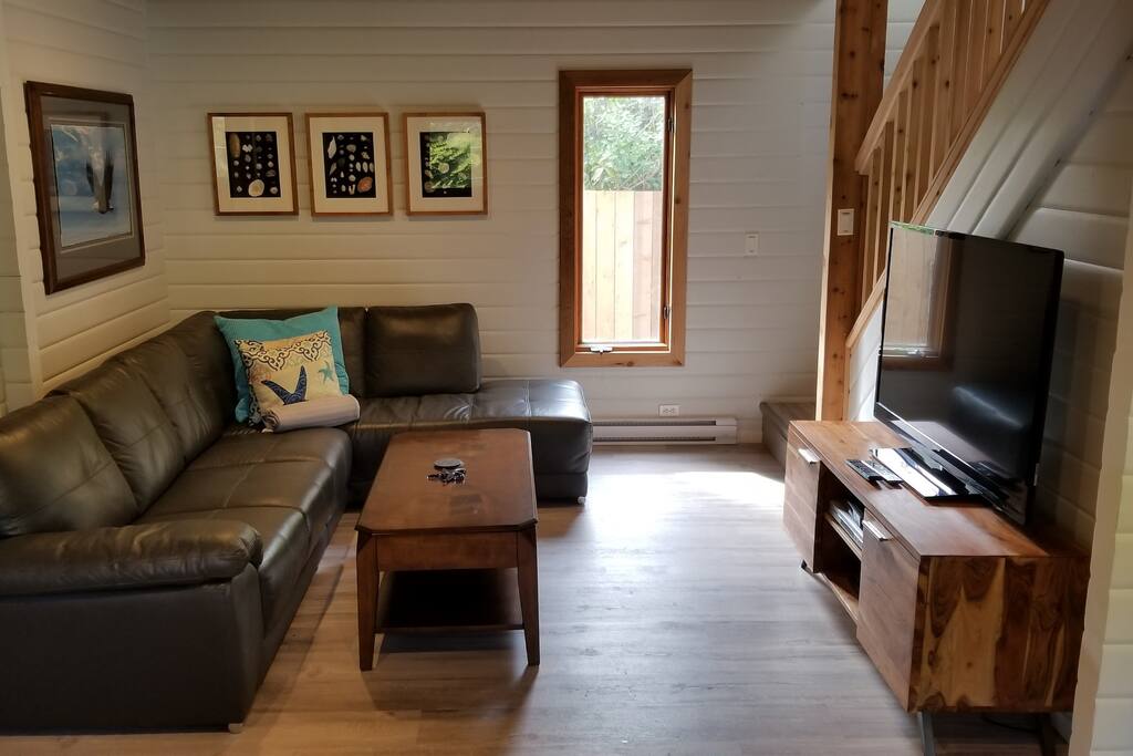 It's a large comfy couch with a coffee table desk combo and large 50 inch TV for your viewing pleasure.