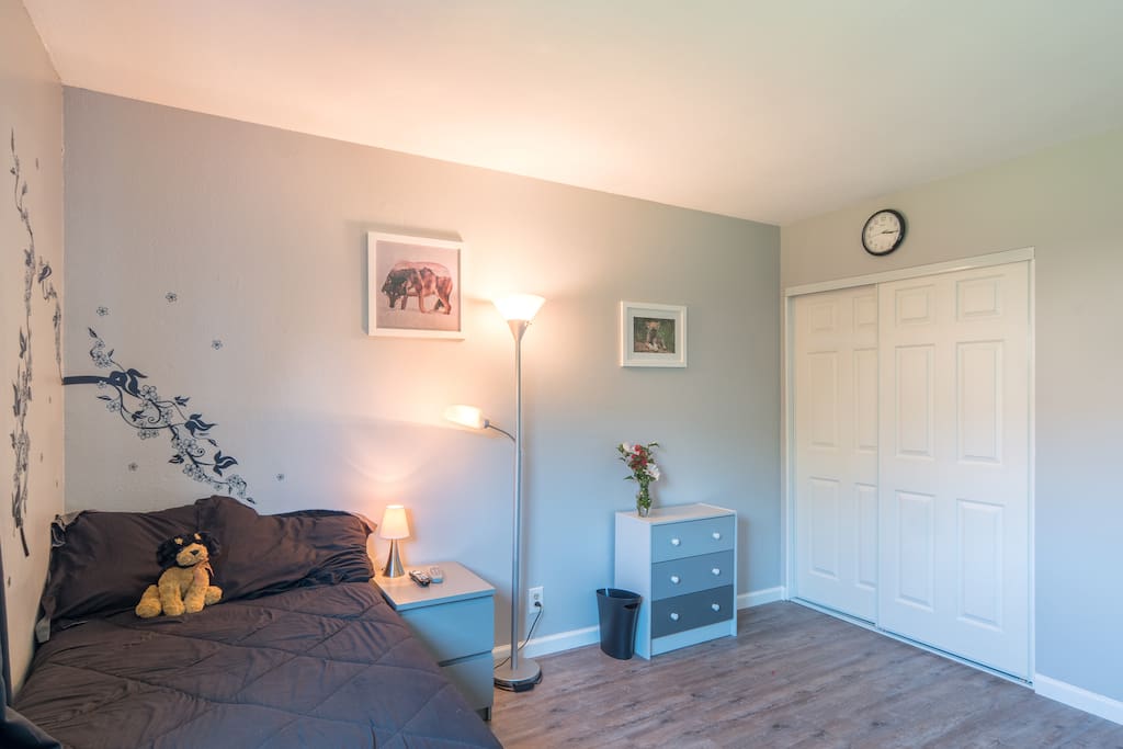 Tempurpedic bed, dresser, big closet!