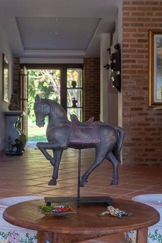 Da floresta a praia em uma única experiência! gallery image 5