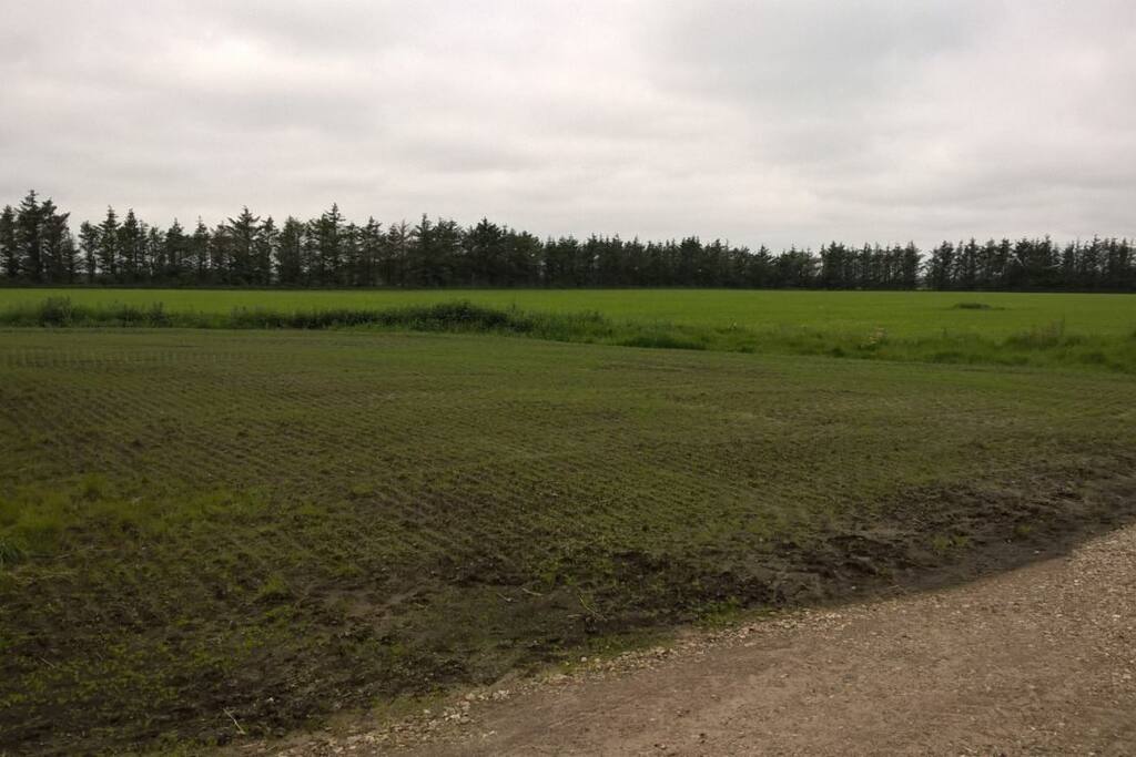 Caravan/tent area