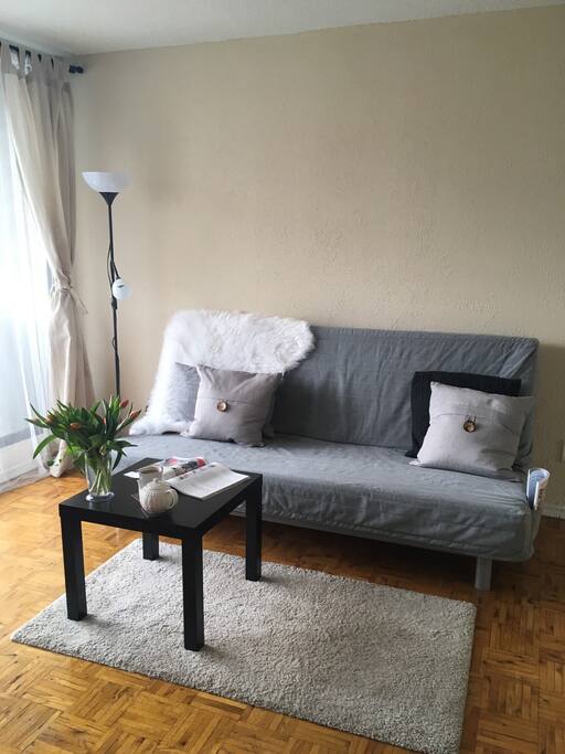 This is the sofa which transforms to double size bed:)