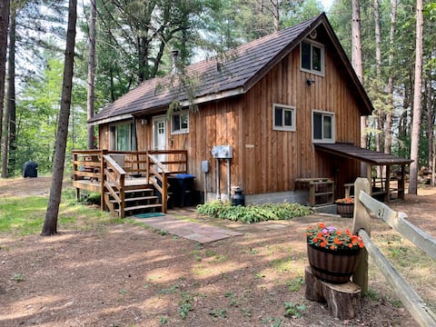 Peaceful Wooded Sanctuary- with private dog park!