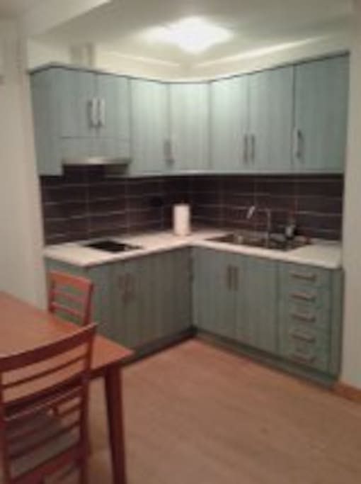 cocina bien equipada con placa eléctrica
