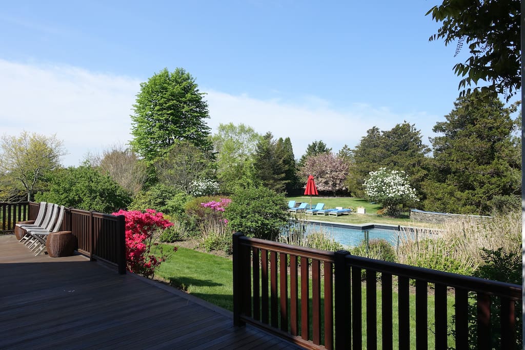 View of Pool from Deck