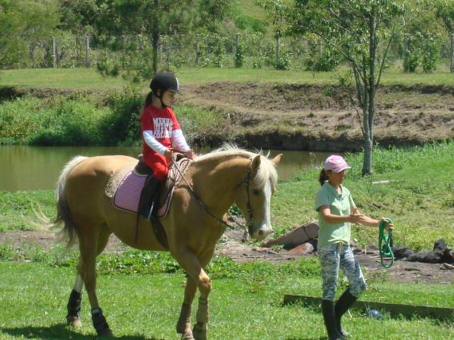 Disponibilidade de passeios a cavalo