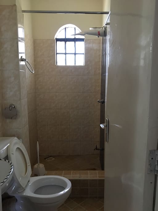 Toilet with shower