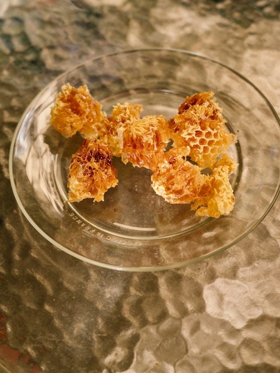 Show full-screen, host-provided image