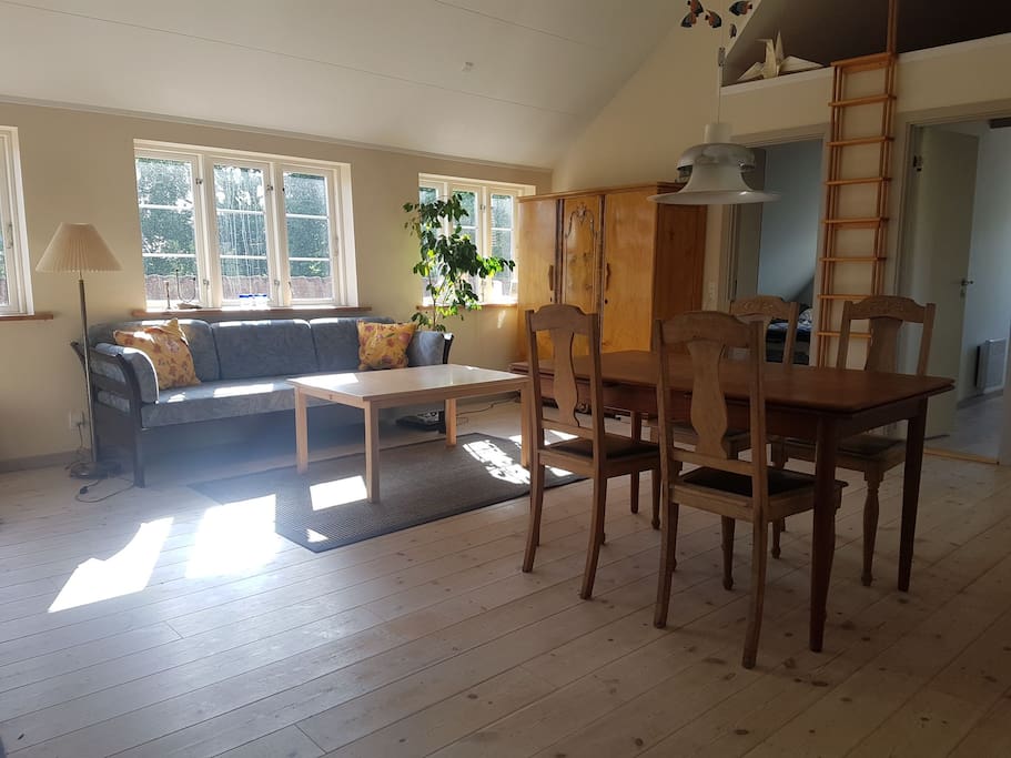 The living room /kitchen