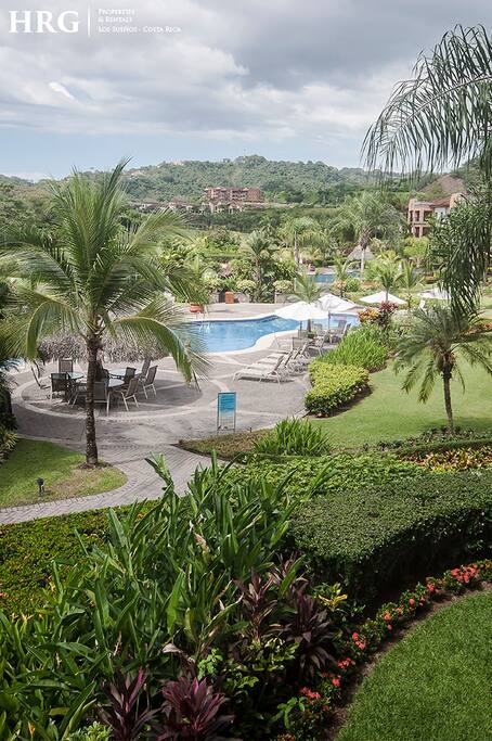 Palm Tree,Tree,Pool,Resort,Swimming Pool