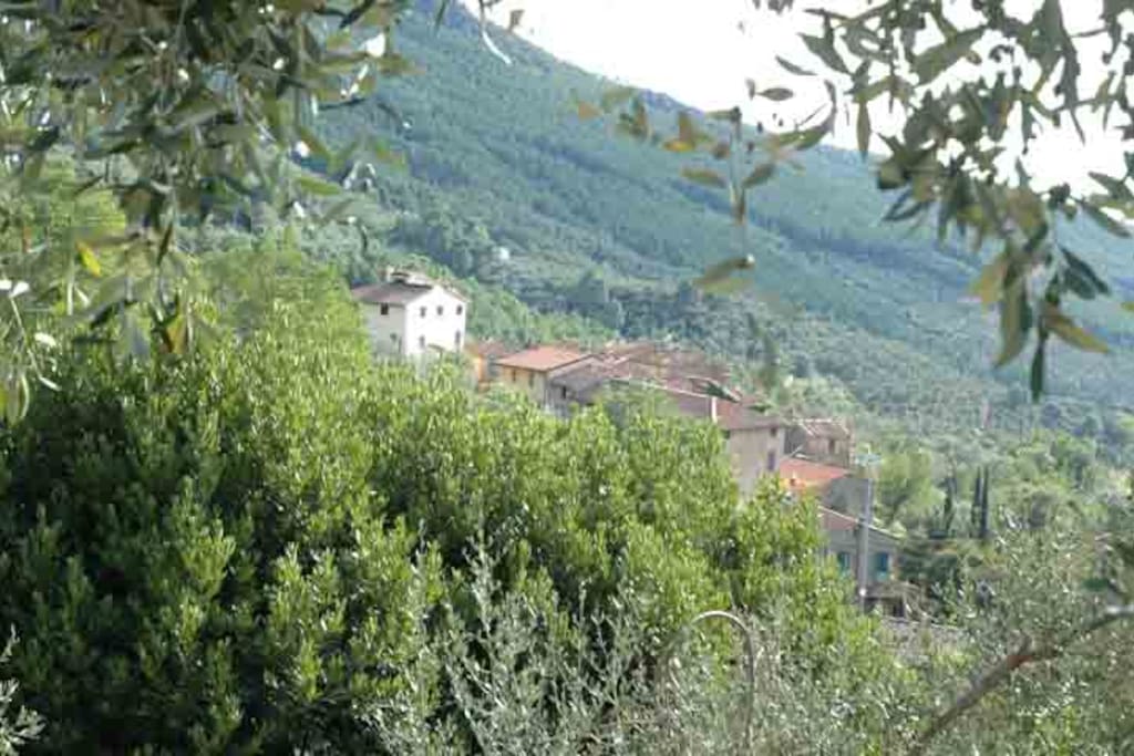 vista