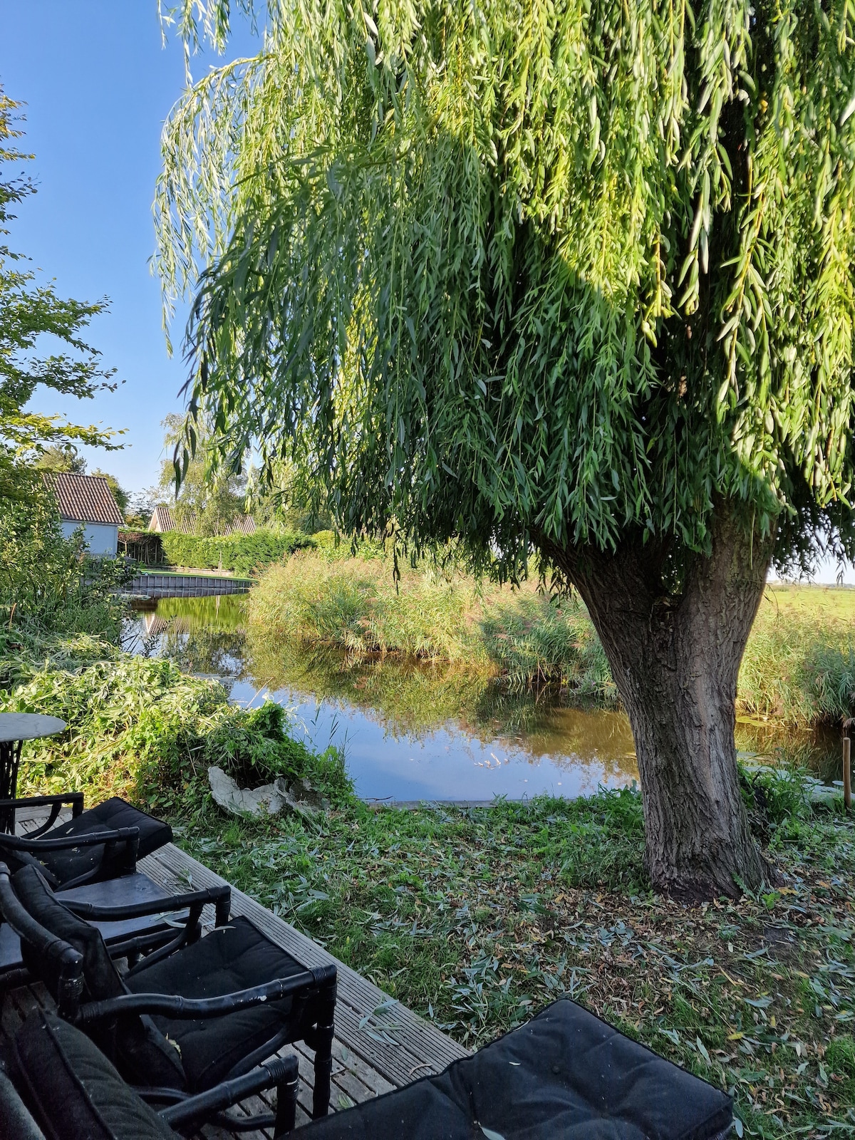 A serene waterside view is presented, featuring a large willow tree providing shade. The tranquil water reflects the greenery and surrounding nature. Several outdoor chairs are positioned near the river, inviting guests to relax and enjoy the peaceful environment.