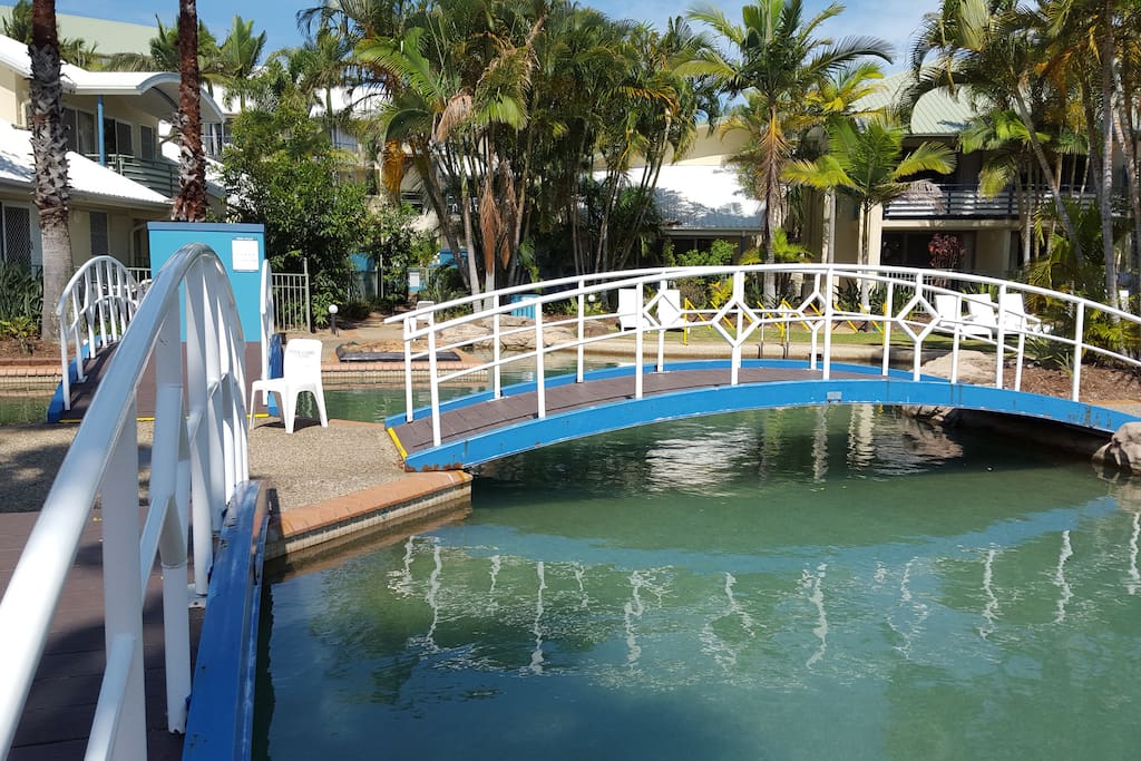 Bridge to paradise! Salt water pool and warm water pool and spa.