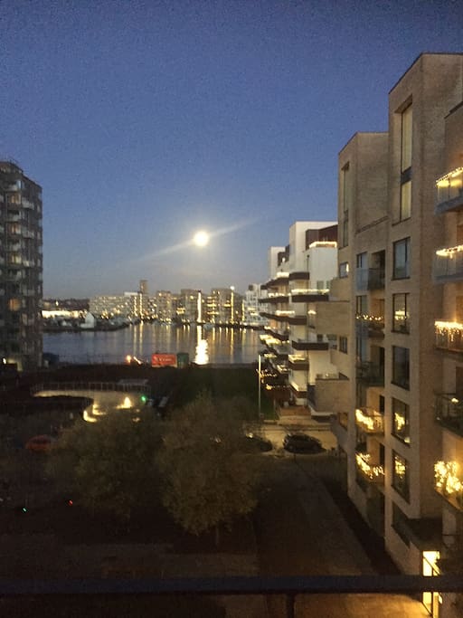moon