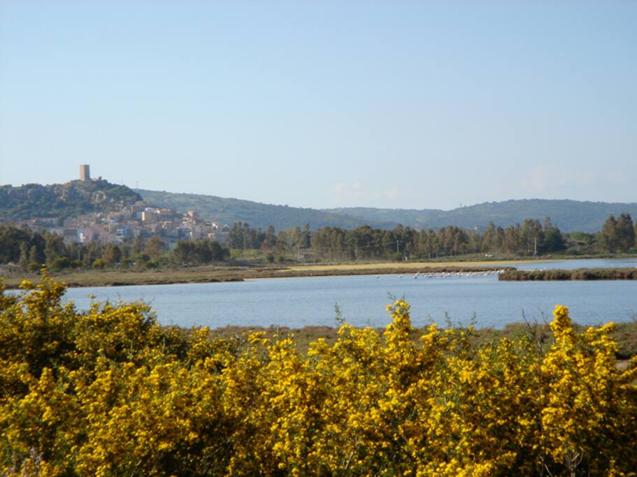 Parco Fluviale: ammirare la natura/
to enjoy nature