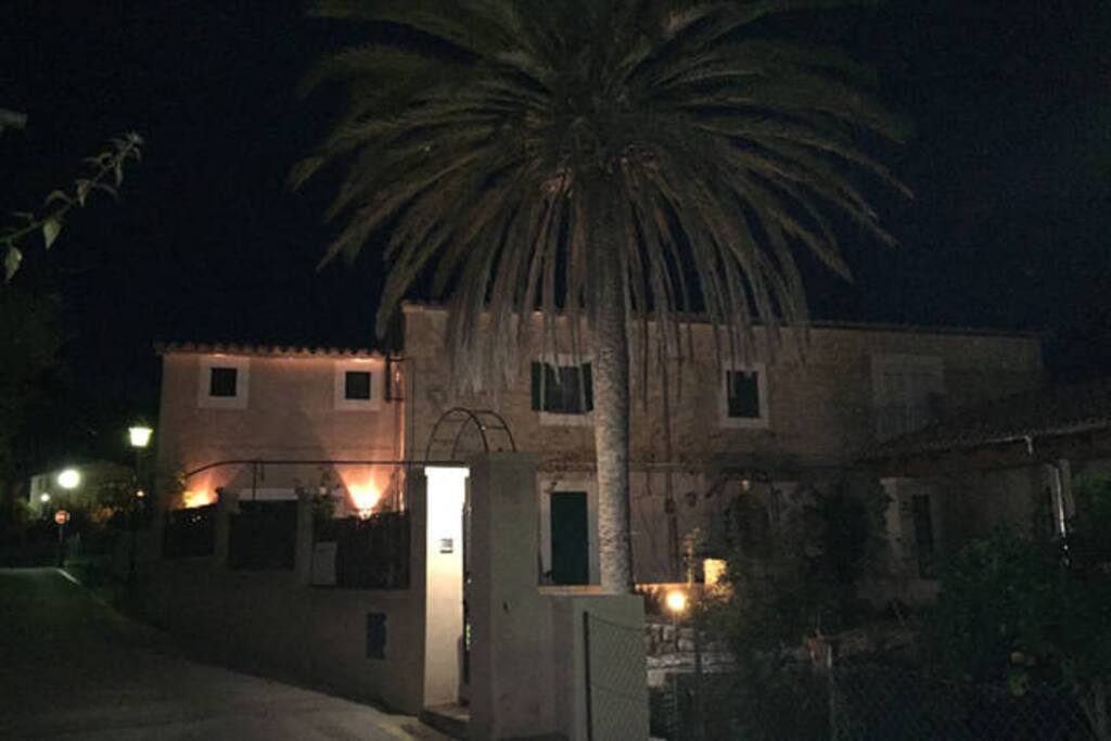 "Ca Na Vivi" at night