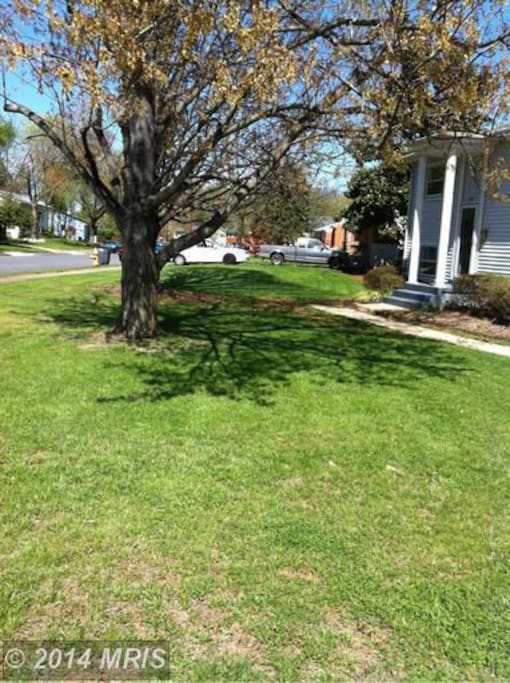 Front Yard
