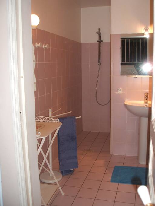 douche spacieuse avec toilette