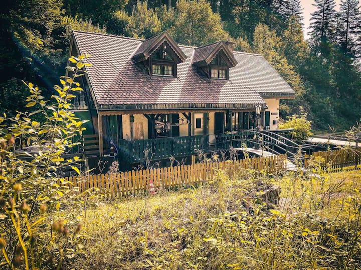 Ferienhaus Blackforest  40 Min. to Basel, 7 Pers.
