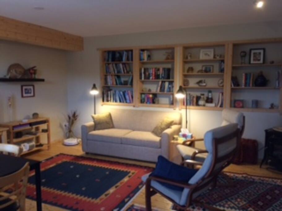 Fold out Sofa