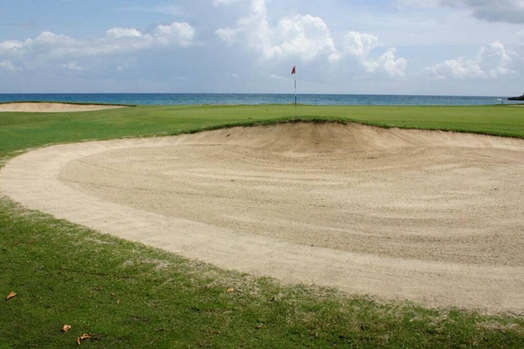 Tryall Club golf is world class. The pro shop is a 3-minute walk from Sunset. Some of the best greens, fairways and caddies in the world welcome you to their challenges ... and their traps.