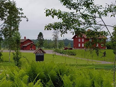 Mårbacka There Down