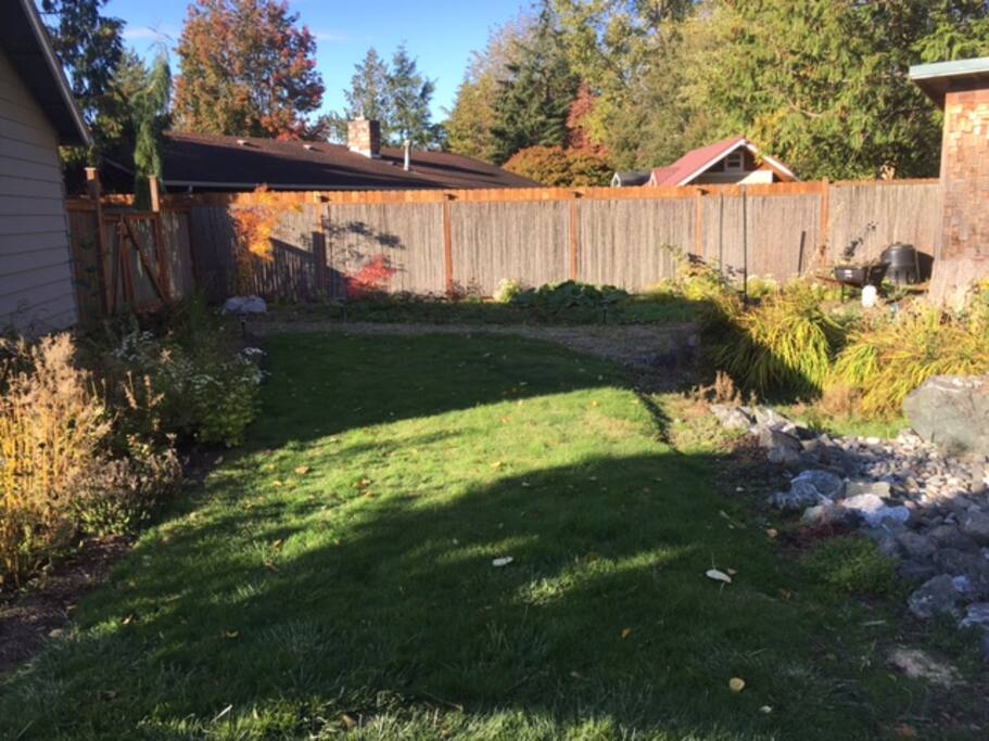 Even more backyard