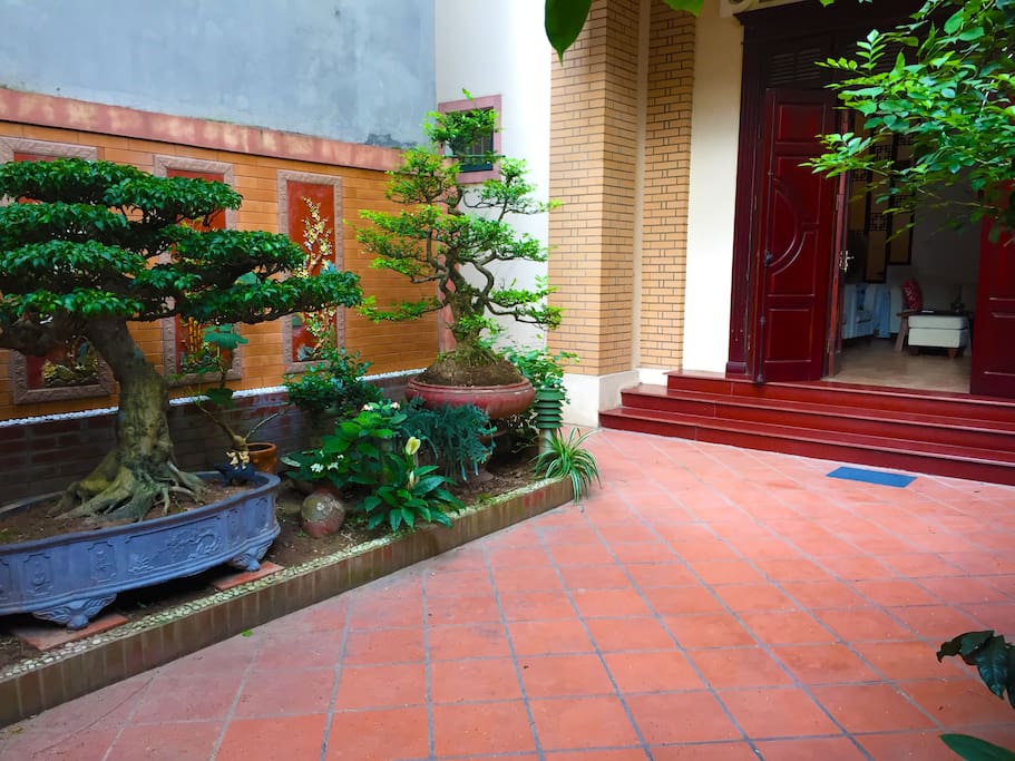 Attractive garden space