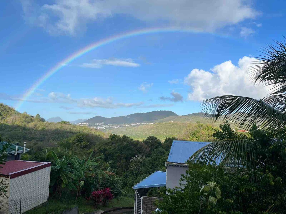 A vibrant rainbow arches over a lush landscape, with green hills and scattered clouds in the blue sky. Tropical trees and plants are visible in the foreground, contributing to a serene natural setting.