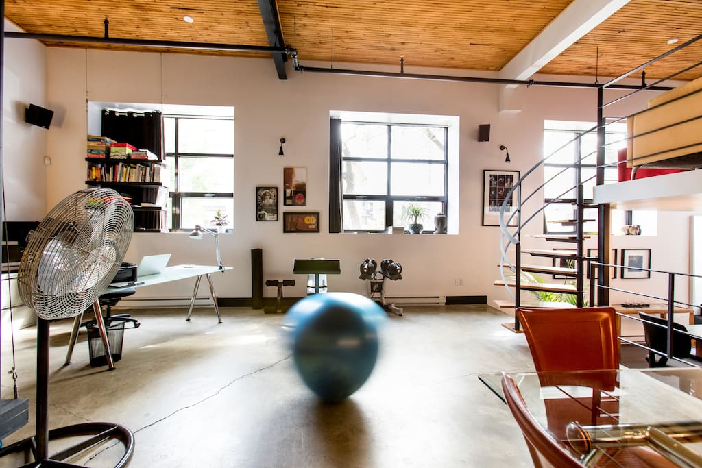 Three large windows, two weights for training and a blue ball, always moving :-) -
Trois grandes fenêtres, deux poids pour l'entrainement et un ballon bleu, toujours en mouvement :-)