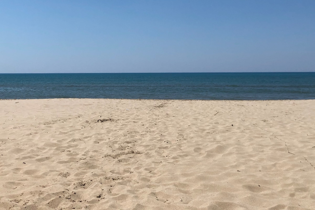 A sandy beach is visible, leading to calm blue waters. The shoreline extends gently under a clear sky, creating a bright and open atmosphere. The horizon blends the sea and sky, offering a serene view of the natural landscape.
