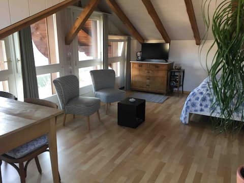 Liebevolles Studio mit Bergsicht