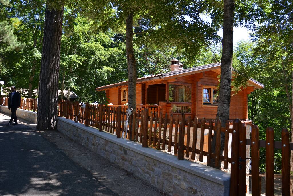In primavera ed estate la villetta di cui fa parte l'appartamento è immersa nel verde della Sila